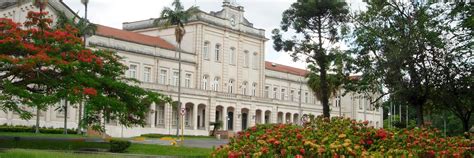 About Luiz De Queiroz College Of Agriculture