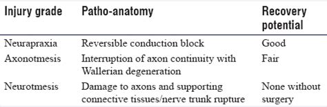 Seddon classification of nerve injury. Pathogenesis, clinical evaluation and non-surgical ...