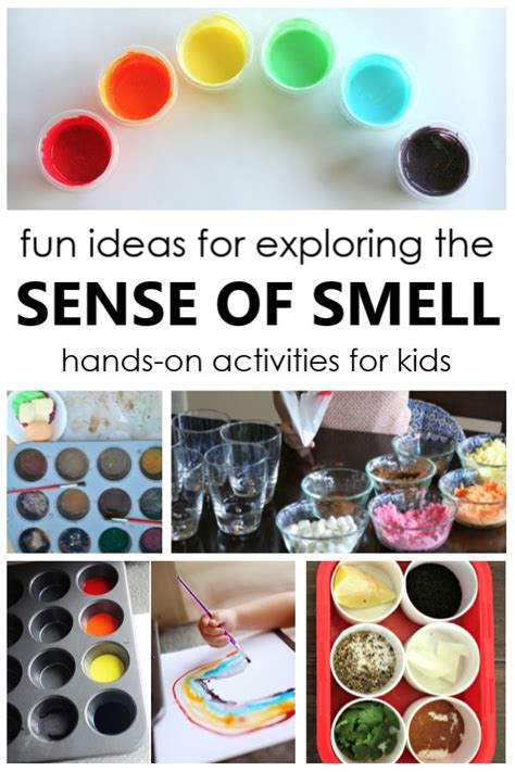 20 Fun Ideas For Exploring The Sense Of Smell Senses Preschool