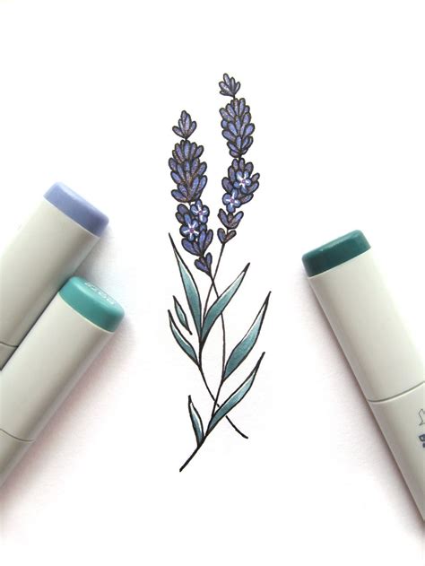 Lavender Flowers Drawing Simple Flowers Art Ideaspagesdev