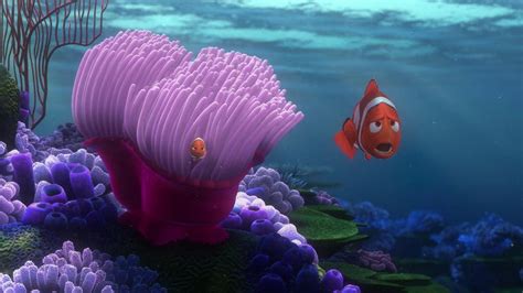 Finding Nemo Wallpapers High Quality Download Free