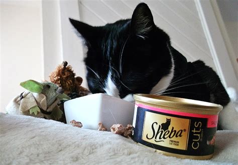 Jul 04, 2016 · i would never try sheba cat food because of this commercial. Momma Told Me: Taming Darth Truffles With Premium Black ...