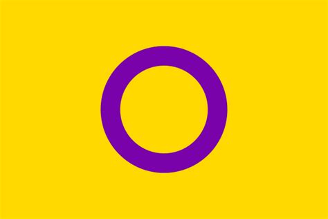 Buy Intersex Pride Flag Online Printed And Sewn Flags 13 Sizes