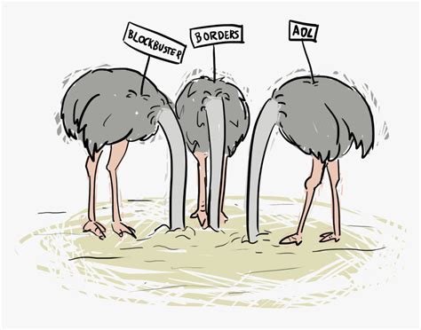 Ostrich Clipart Sand Ostrich Free Cartoon Hd Png Download Kindpng