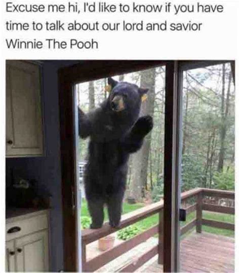 80 Best Bear Meme Meme Central