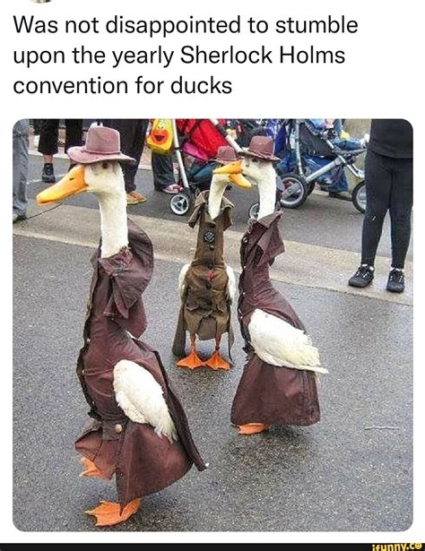 tuesday meme dump was not disappointed to stumble upon the yearly sherlock holms convention