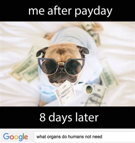 Me After Every Payday Vs Days Later Most Popular Boards Job Humor
