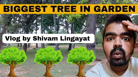 New Vlog Biggest Tree At Dhamapur Vlog By Shivam Lingayat Garden