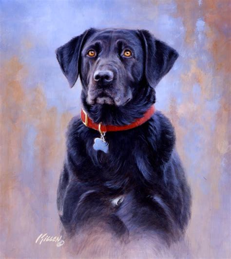 Ebbie Black Labrador Retriever Painting By Jim Killen