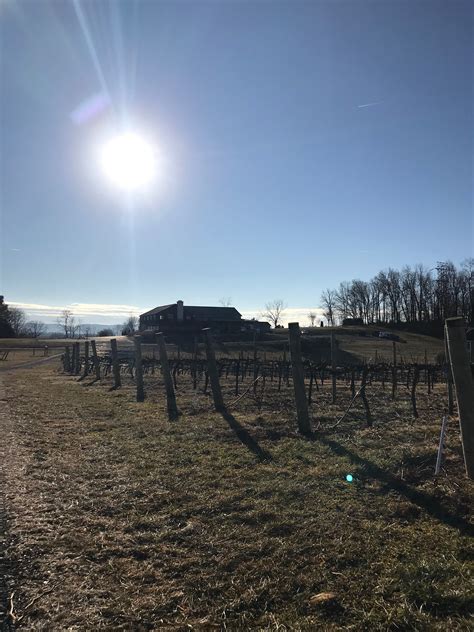 Barren Ridge Vineyards Located In Fishersville Virginia