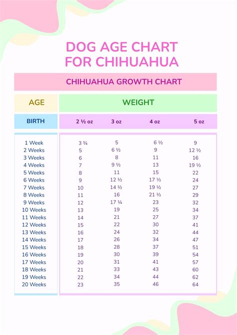 Dog Age Chart For Chihuahua In Psd Download