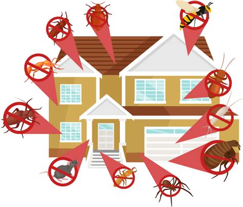 Gas Clipart Insect Spray Gas Insect Spray Transparent Free For