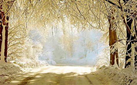 30 Beautiful Winter Wallpapers Backgrounds Images Design Trends