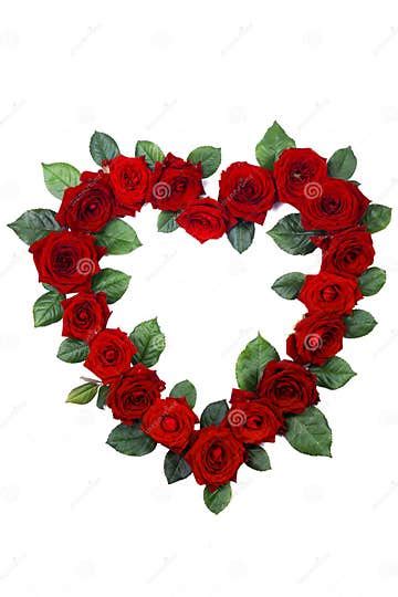 Red Roses In Heart Shape Stock Photo Image Of Engagement 202783502