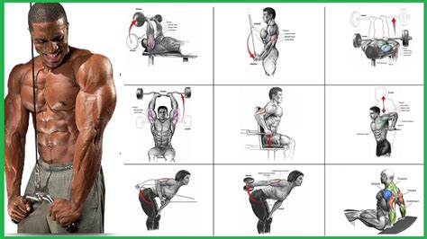 The Top Ten Triceps Exercises Nutribal Legal