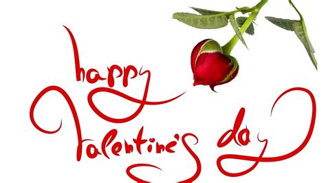 Are you searching for valentines day png images or vector? Valentine Day Flower PNG Image Background | PNG Arts