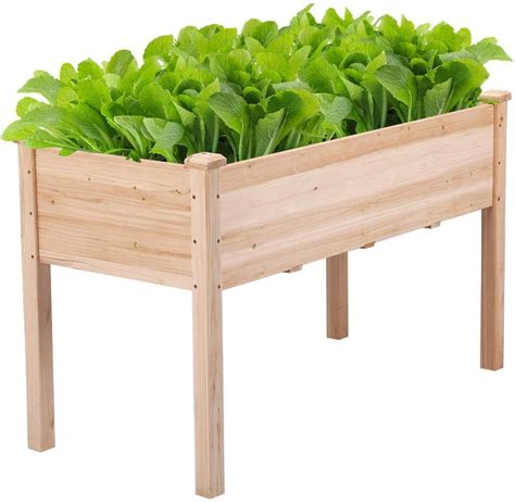 8 Best Raised Planter Boxes Pros And Cons Grow Food Guide
