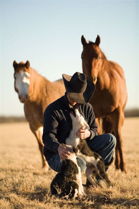 A Man With A Cowboy Hat Holding A Dog And Two Horses In The Field