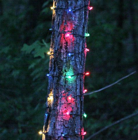 Check spelling or type a new query. Christmas Net Lights - 6" W x 12' H Trunk Wrap - 150 Multi ...