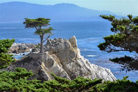 Monterey And The Lone Cypress Exploring Our World