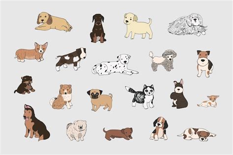 Premium Vector Dogs Animal Vector Illustrations Set