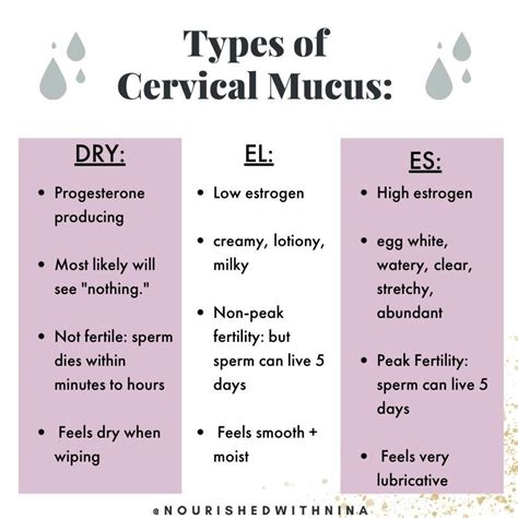 Identifying Cervical Mucus With Fertility Awareness Method · Nourished