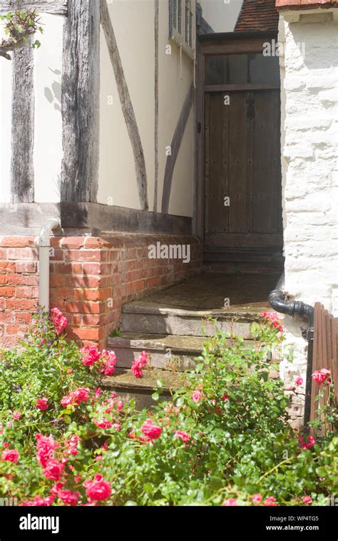Roses Growing Beside A Tudor Cottage Stock Photo Alamy