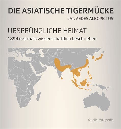 Ausbreitung Der Tigermücke Im Kofferraum Bis Nach Europa News Srf