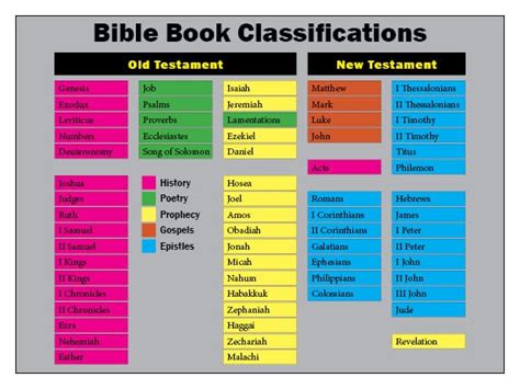 How Is The Bible Organized Bible Reading Revolution