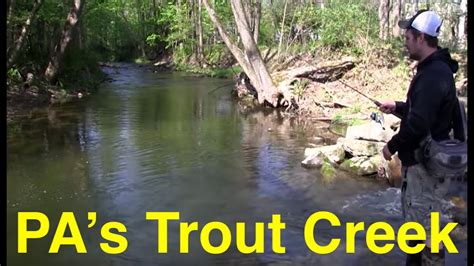 Fishing Pennsylvanias Trout Creek Youtube