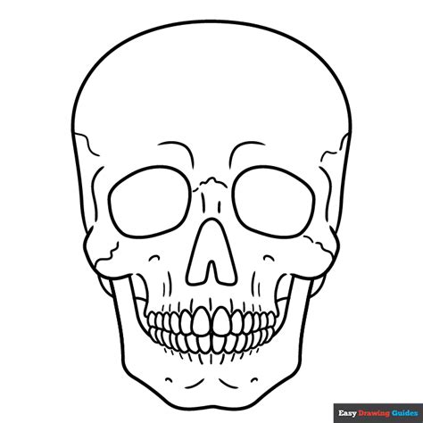 Realistic Skull Coloring Page Easy Drawing Guides