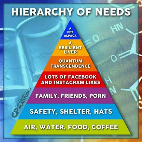 Pin By Susan Cass On Quotes Maslows Hierarchy Of Needs Funny