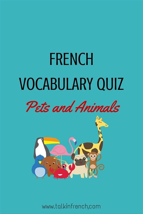 Pin on French Vocabulary List