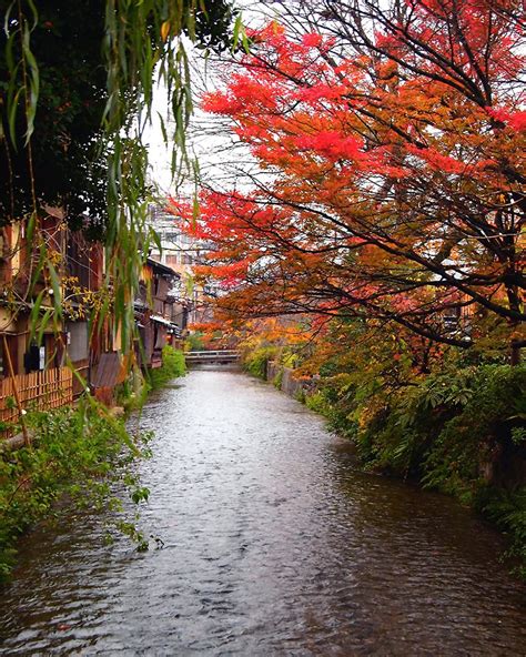 Shirakawa In Autumn Most Beautiful Street In Kyoto Beautiful