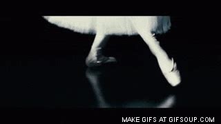 Black Swan Gif Find Share On Giphy