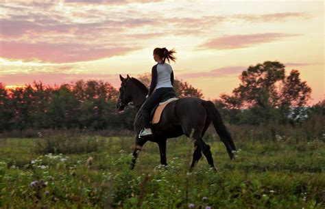 Horse Riding Sunset Wallpapers And Images Wallpapers Pictures