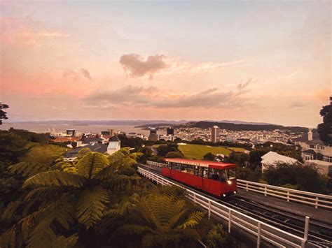 Six in the city yes six bedrooms! 14 Scenic Things to do in Wellington, New Zealand