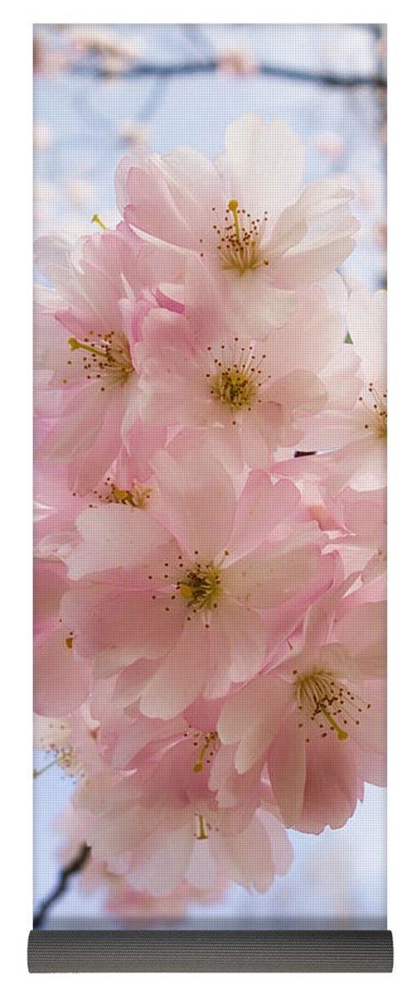 Pink Spring Blossom Light Blue Sky Yoga Mat For Sale By Matthias Hauser