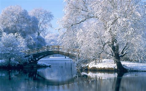 Photography Winter Hd Wallpaper Background Image 1920x1200