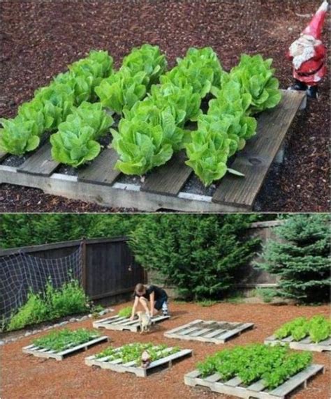 Diy Garden Ideas 37 Recycled Stuff Gardening And Garden