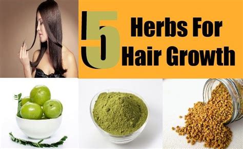 Herbs For Hair Growth Herbs For Hair How To Grow Natural Hair