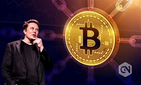 If the price of bitcoin goes down, i lose money. Elon Musk Makes a Tweet Mentioning the Bitcoin Cryptocurrency