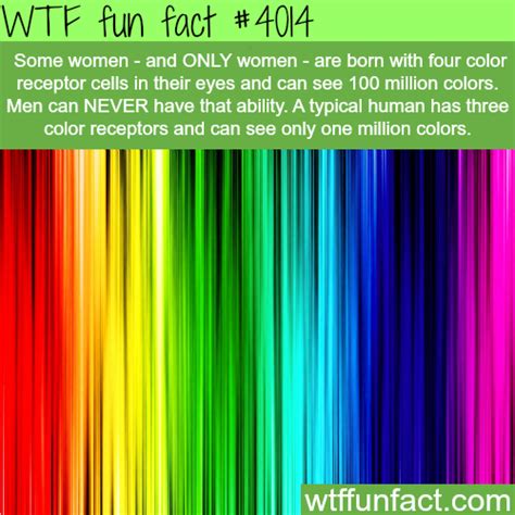Color is a powerful tool. Why women see more colors than men - WTF fun facts
