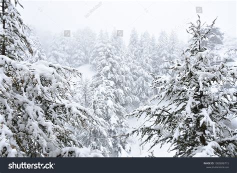 523 Cedars Of Lebanon Snow Images Stock Photos And Vectors Shutterstock