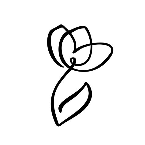 Tulip Flower Logo Continuous Line Hand Drawing Calligraphic Vector