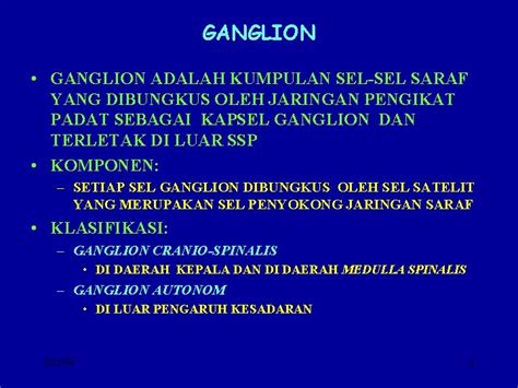 Ganglion Saraf Adalah Sinau