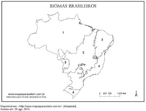 Mapas Do Brasil Para Colorir E Imprimir Biomas Mapa B Vrogue Co