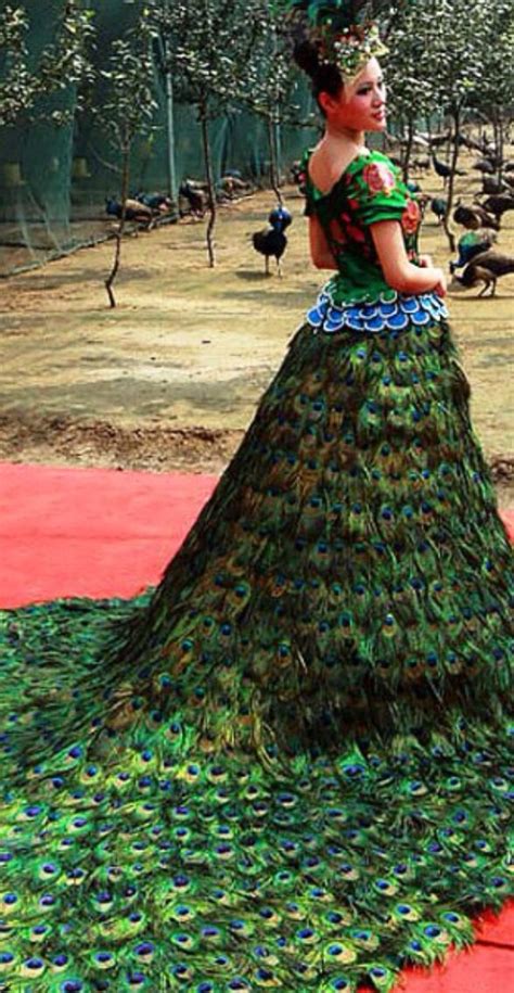 Peacock Gown Fashion Dresses