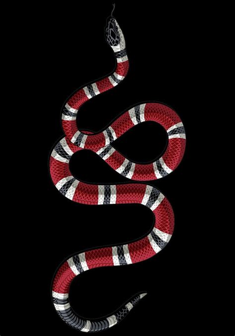 Gucci Snake Wallpapers Top Free Gucci Snake Backgrounds Wallpaperaccess