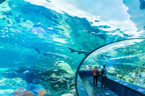 Ripleys Aquarium Hosting Epic Adult Only Beach Party In Toronto
